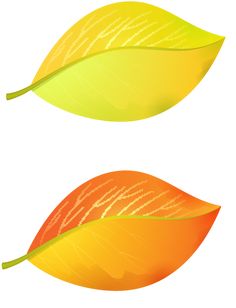 236x308 Colorful Clip Art For The Autumn Season Fall Vegetables, Clip