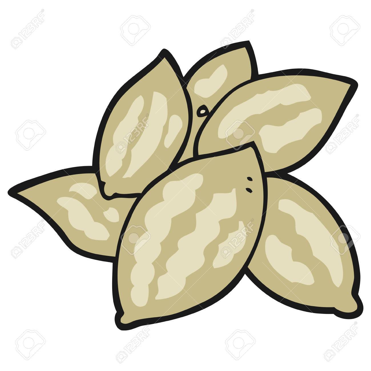 1300x1300 Freehand Drawn Cartoon Almonds Royalty Free Cliparts, Vectors,