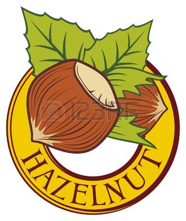 379x450 Hazelnut Clipart Almond Clipart