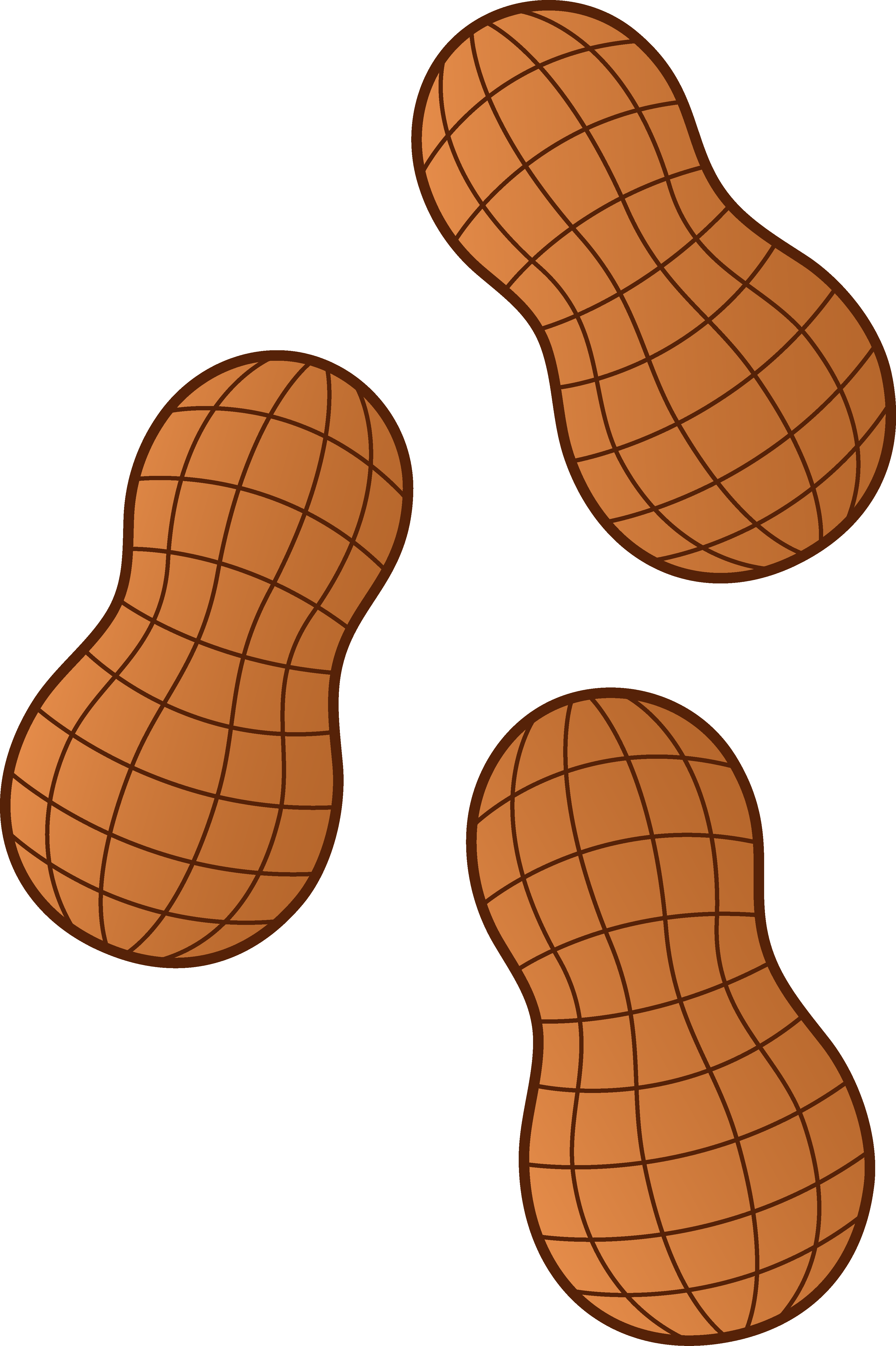3567x5357 Peanut Clipart