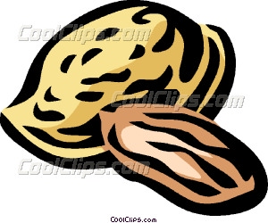 300x250 Almond Vector Clip Art