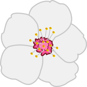 300x300 Almond Flower Clip Art