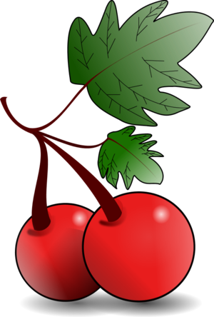 300x444 Cherry Tree Clipart Animated