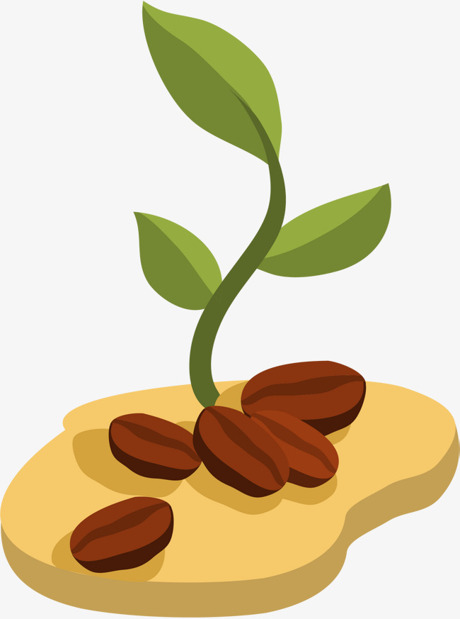 650x873 Bean Free Png Images And Psd Downloads Pngtree