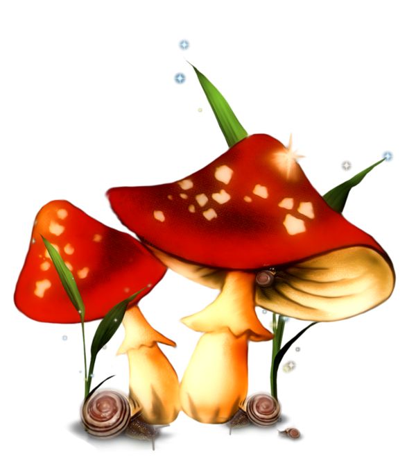 600x674 33 Best Garden Images Cakes, Clip Art And Doll