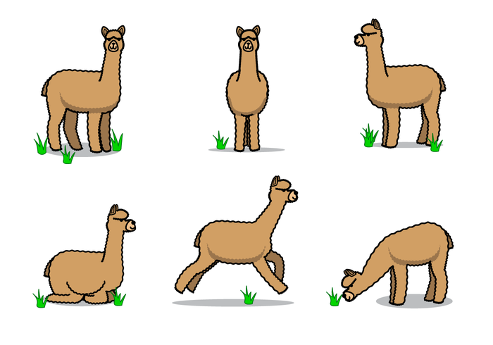 700x490 Alpaca Free Vector Art