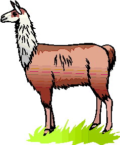 238x287 Related Pictures Llama Face Clip Art Alpacas Llama