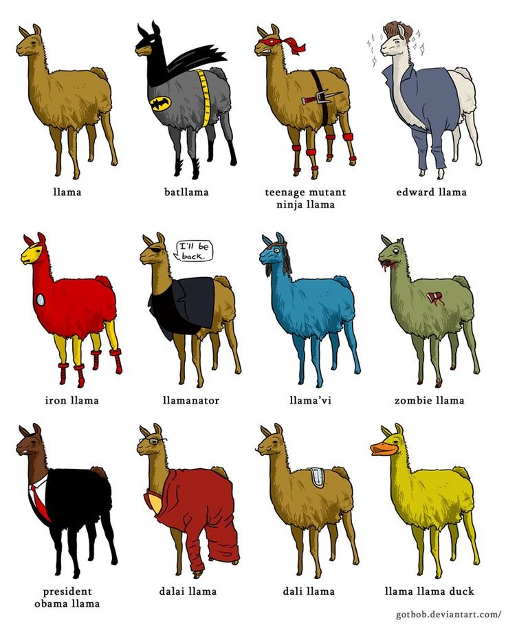 736x909 Alpaca Clipart Difference Between