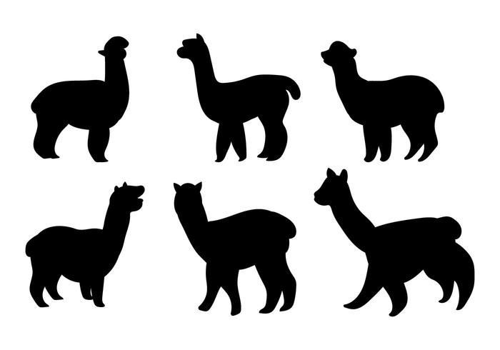 700x490 Alpaca Free Vector Art