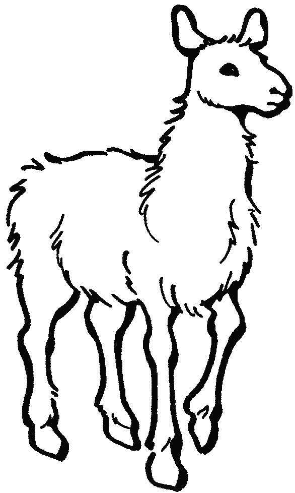 586x978 Alpaca Colouring Pages Clipart Panda