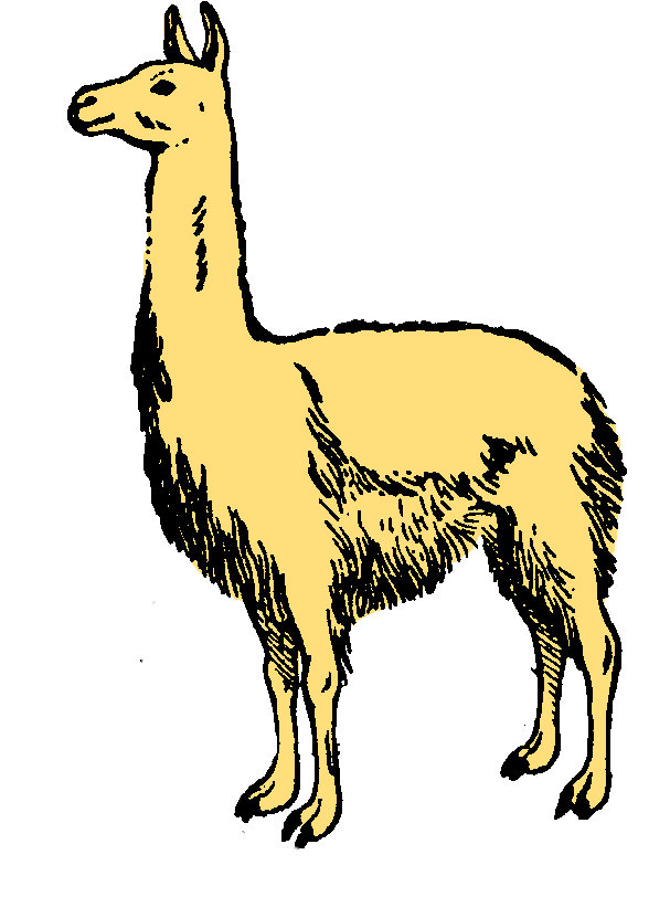 607x812 Alpaca Clipart Cartoon