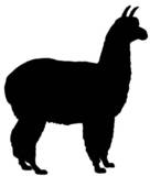 136x170 Alpaca Clip Art
