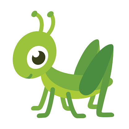 416x416 Grasshopper Clipart Images