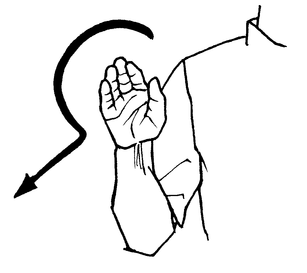 1024x912 Never American Sign Language (Asl)