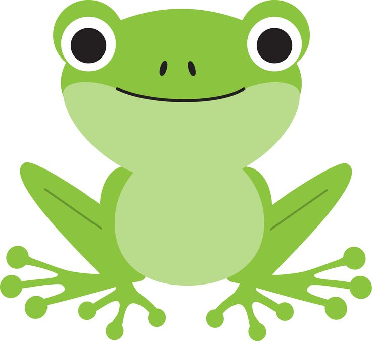 736x676 Amphibian Clipart Frog Pond