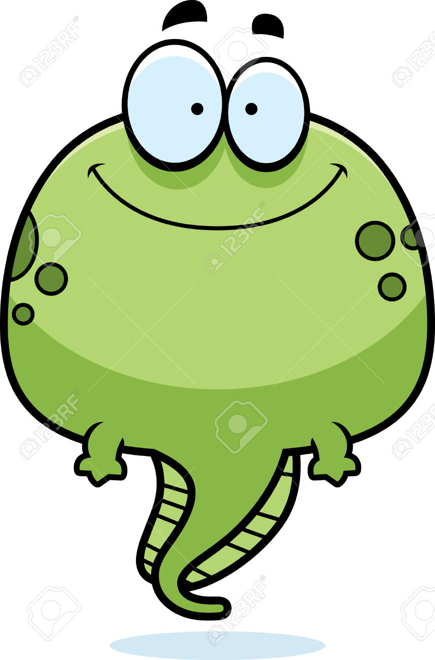 857x1300 Amphibian Clipart Frog Tadpole