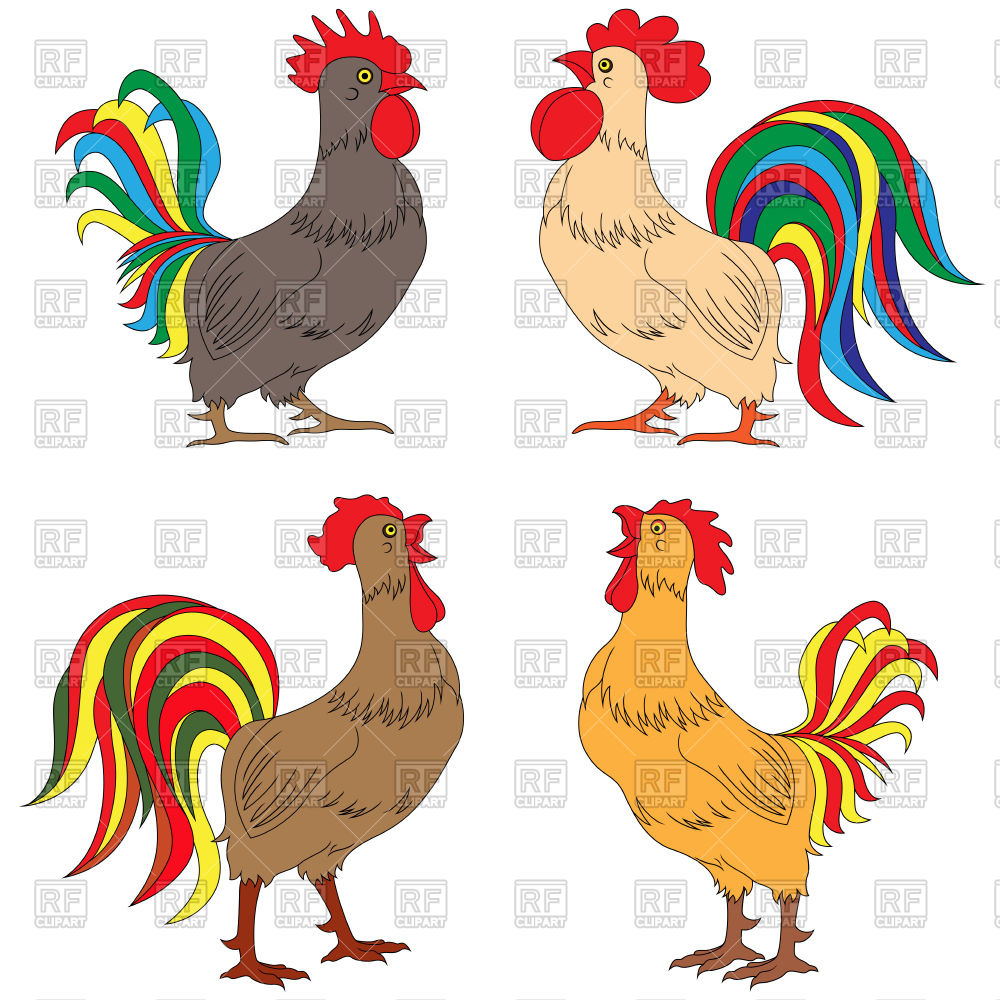 1000x1000 Set Of Colourful Amusing Roosters, Cock Royalty Free Vector Clip