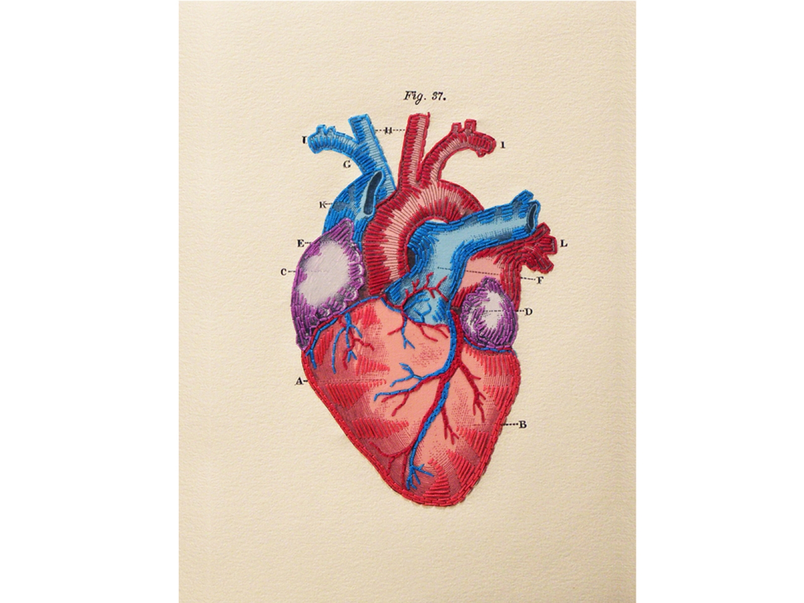 1600x1200 Anatomical Heart. Paper Embroidery By Fabulous Cat Papers