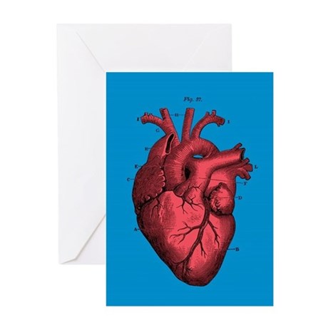 460x460 Anatomical Heart Greeting Cards Cafepress