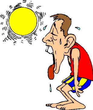 308x363 Untitled Copy1 On Emaze