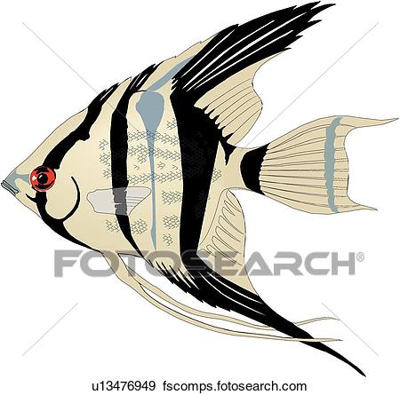 450x445 Clip Art Of Angelfish U13476949