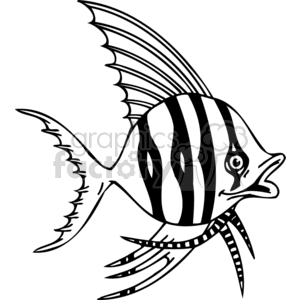 300x300 Royalty Free Stripe Angel Fish In Black And White 377443 Vector