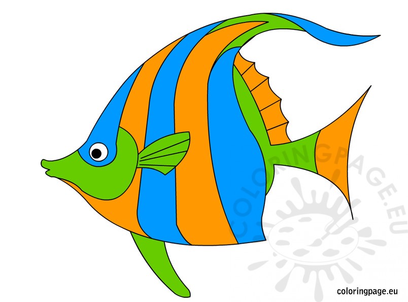 804x595 Angelfish Clipart Orange Fish