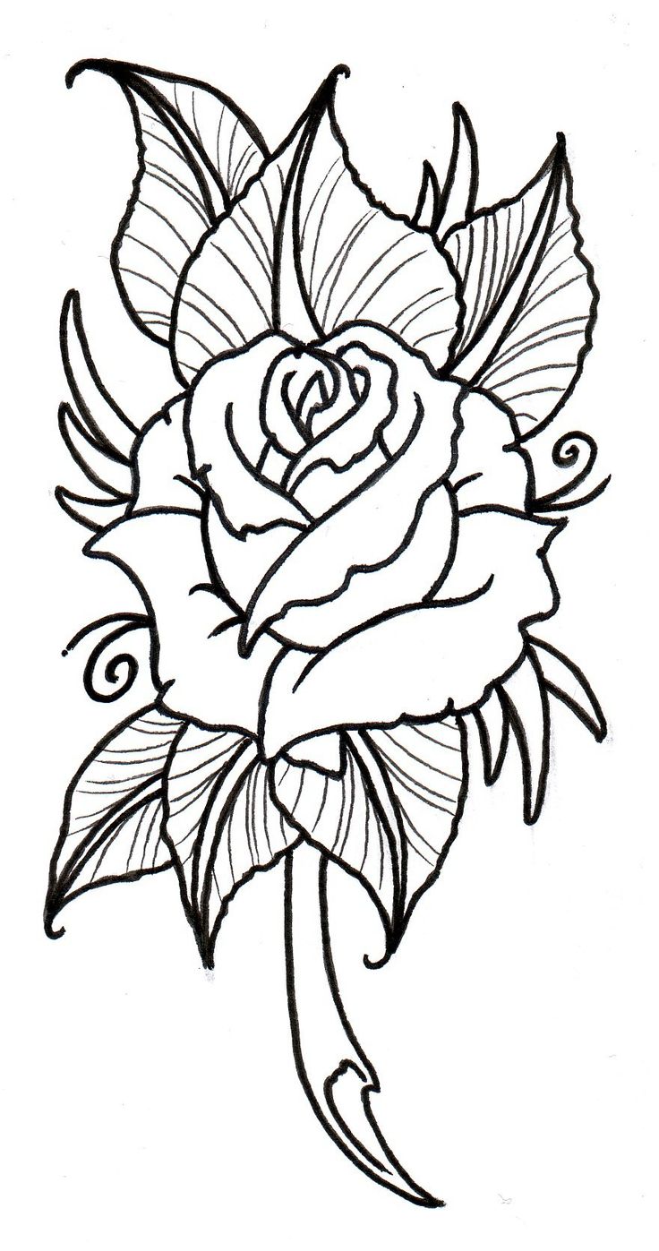736x1397 The Best Rose Outline Drawing Ideas Rose Tattoo
