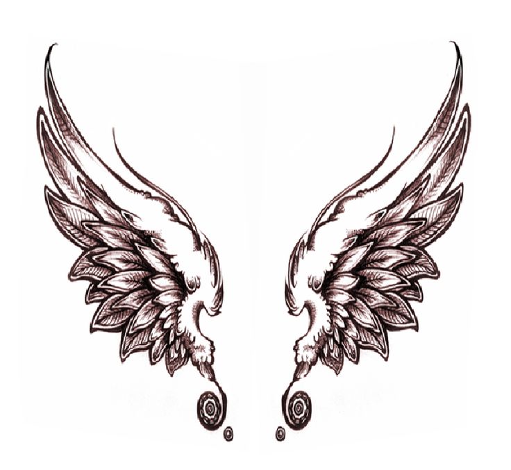 736x677 16 Best Angel Wings Images Ravens, Creative Ideas