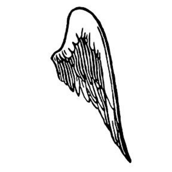 350x350 Image Of Angel Wing Clipart