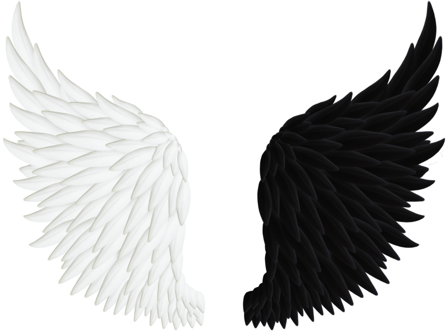 900x667 Angel Wings Png 06 By Thy Darkest Hour
