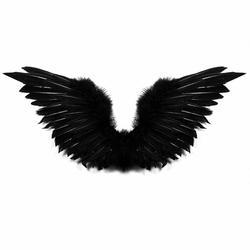 250x250 Black Wings Clipart
