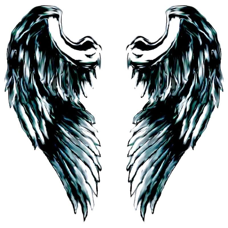 800x798 Angel Wing Logo