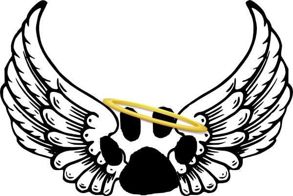 600x401 Angel Wing Recipients