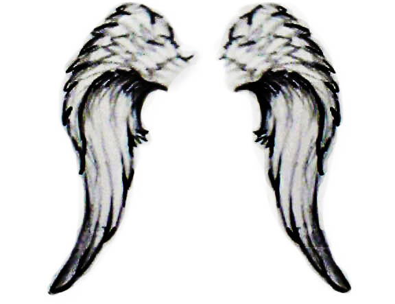 576x443 Angel Wings Pictures Clipart Panda