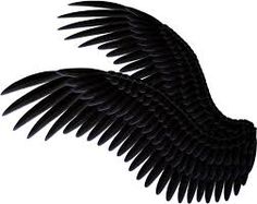 236x187 More Like Black Angel Wing Png By Starscoldnight