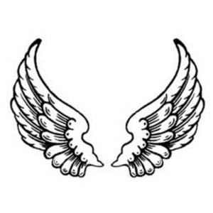300x300 Angel Wings Clipart