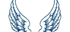 272x125 Image Of Angel Wing Clipart 1 Free Clipart Angel Wings