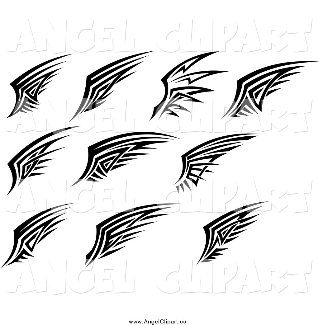 1024x1044 Angel Wing