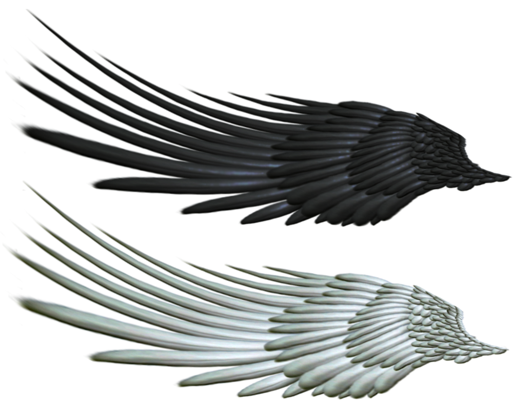 1000x798 Good And Evil Angel Wing Png 2 By Thy Darkest Hour