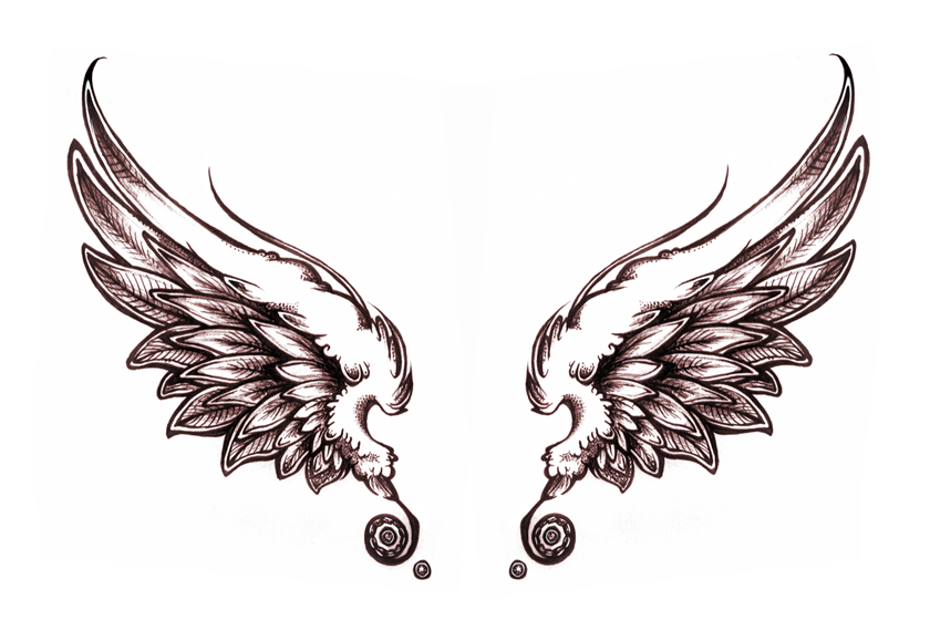 840x570 Angel Wings