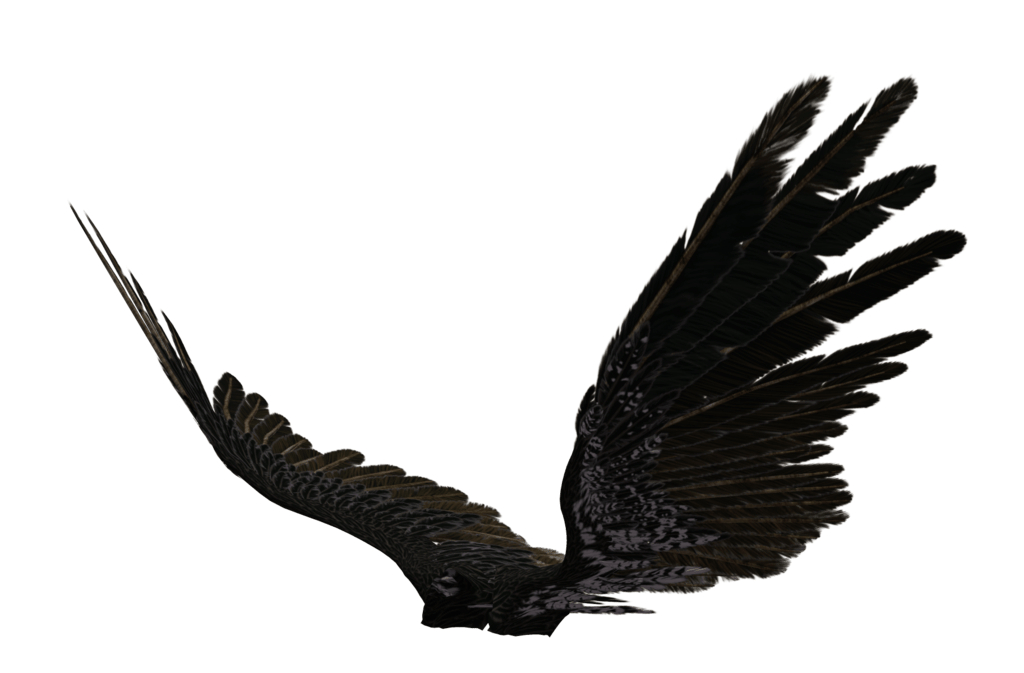 1024x673 Picture Of Dark Angel Wings Allofpicts