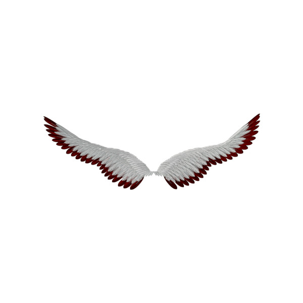 600x600 Alizeya7 Wings Angel Wings