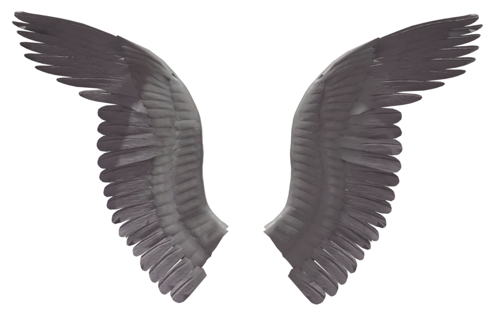 1024x639 Angel Wing (7) By Wolverine041269