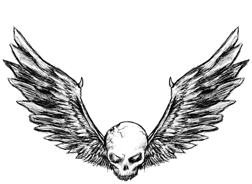 1006x734 Fallen Angel Clipart Angel Wing