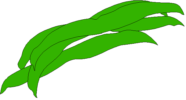 633x341 Beans Clipart Can Bean