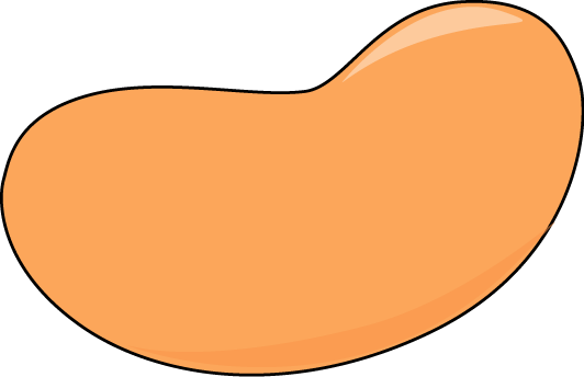 532x344 Beans Clipart Kidney Bean