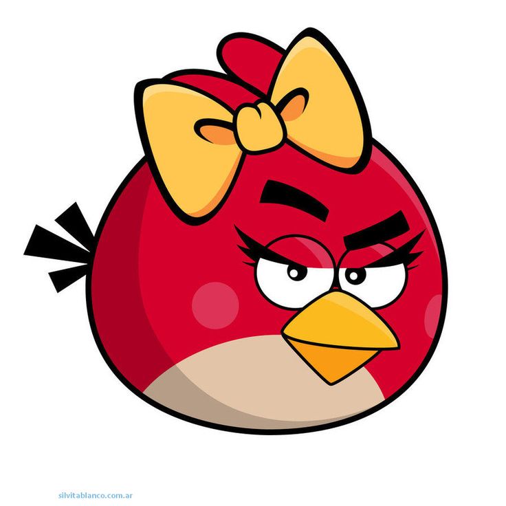 736x736 35 Best Images Angrybirds Images Star Wars Art