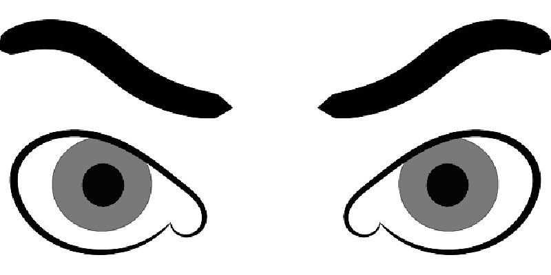 800x400 Eyebrows, Angry, Brown, Eyes, Iris, Observing, Looking