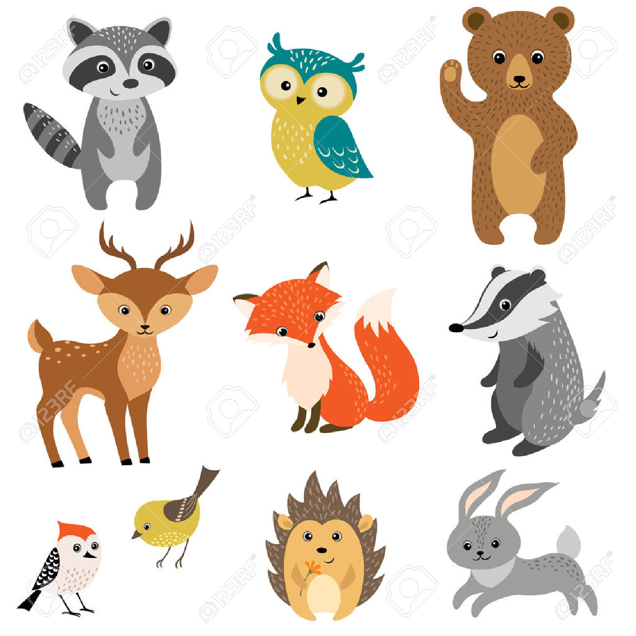 1300x1300 Woodland Set Of Cute Woodland Animals Isolated On White